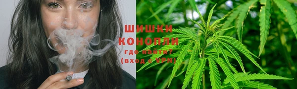 дмт Горно-Алтайск
