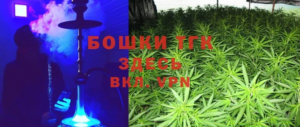 MESCALINE Горняк