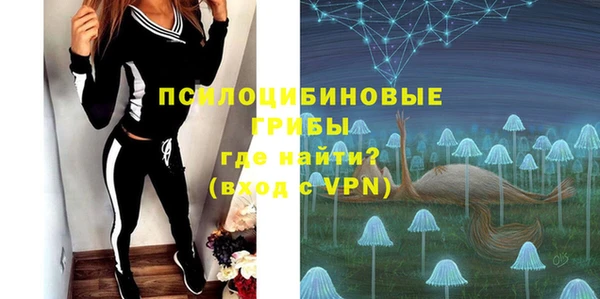 дмт Горно-Алтайск
