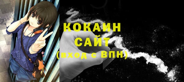 твердый Горнозаводск